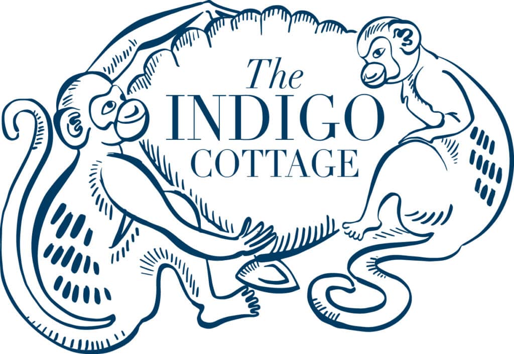 indigo cottage sponsor of the event